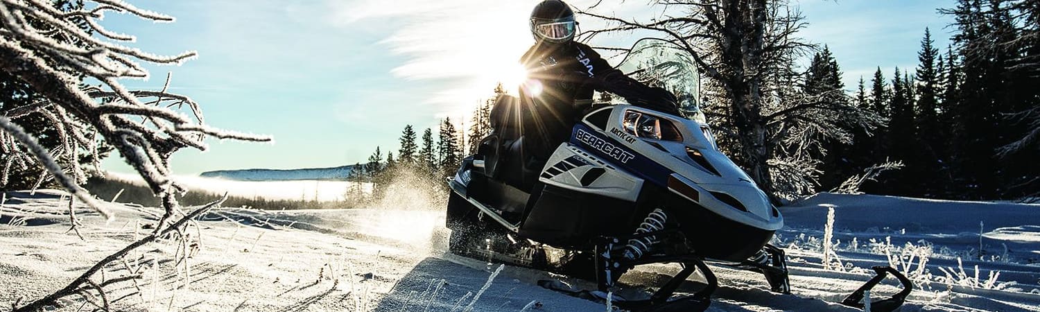 2019 Arctic Cat® Bearcat 2000XT for sale in Village Motorsports, Holland, Michigan